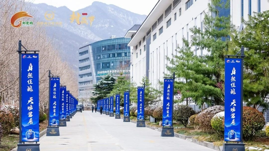 劲牌神农架酒业第四届封藏文化节（2025）活动现场图01